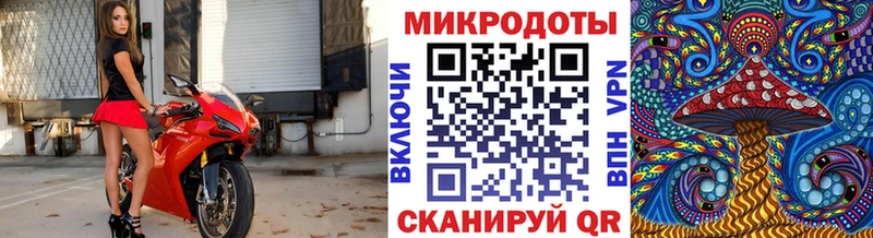 Псилоцибиновые грибы Psilocybine cubensis  Мамадыш 