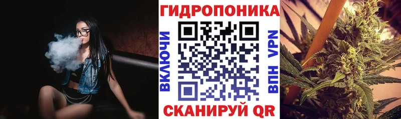 Бошки марихуана сатива  Мамадыш 